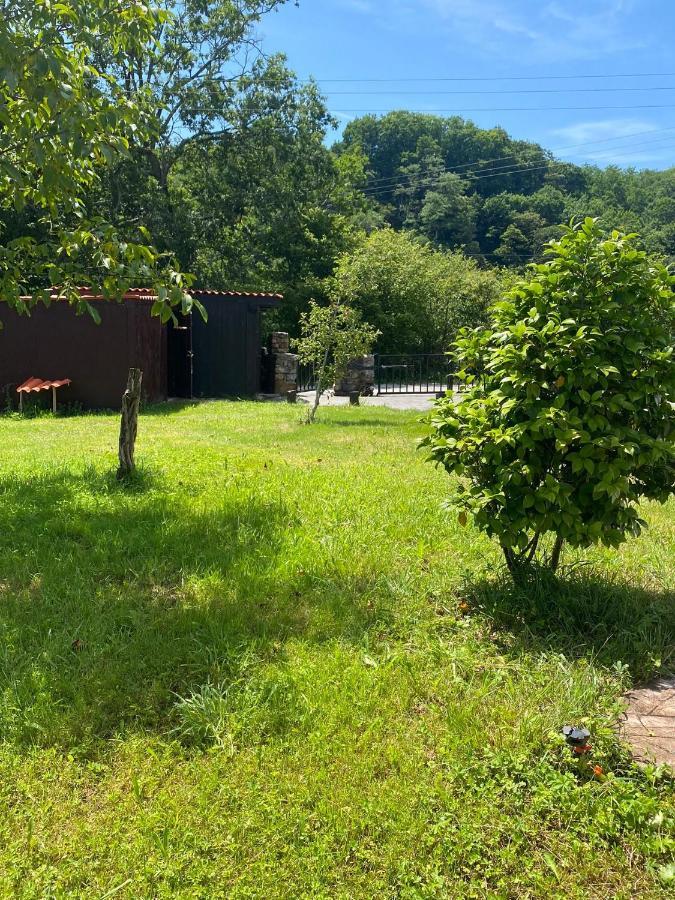 Casa Rural Laurenea Otsango Auzoa エクステリア 写真